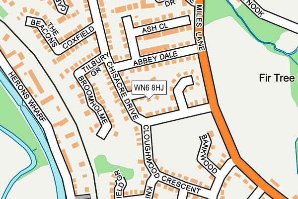 WN6 8HJ map - OS OpenMap – Local (Ordnance Survey)