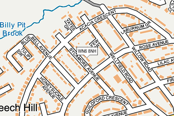 WN6 8NH map - OS OpenMap – Local (Ordnance Survey)