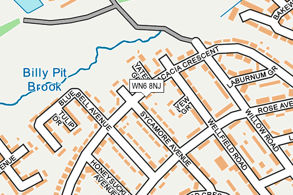 WN6 8NJ map - OS OpenMap – Local (Ordnance Survey)