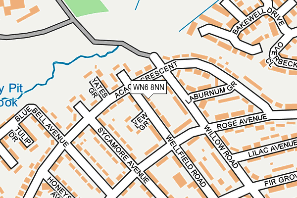 WN6 8NN map - OS OpenMap – Local (Ordnance Survey)