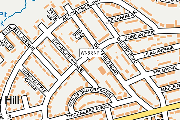 WN6 8NP map - OS OpenMap – Local (Ordnance Survey)