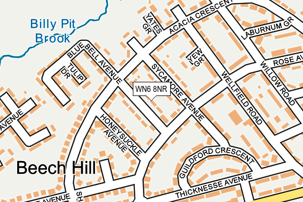 WN6 8NR map - OS OpenMap – Local (Ordnance Survey)