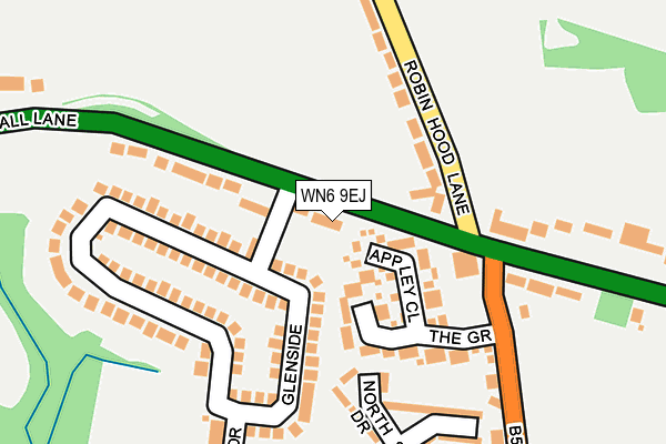 WN6 9EJ map - OS OpenMap – Local (Ordnance Survey)