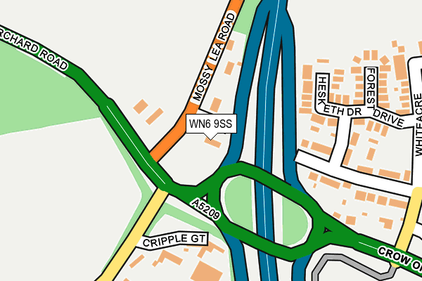 WN6 9SS map - OS OpenMap – Local (Ordnance Survey)