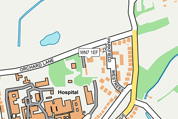 WN7 1EF map - OS OpenMap – Local (Ordnance Survey)