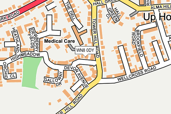 WN8 0DY map - OS OpenMap – Local (Ordnance Survey)