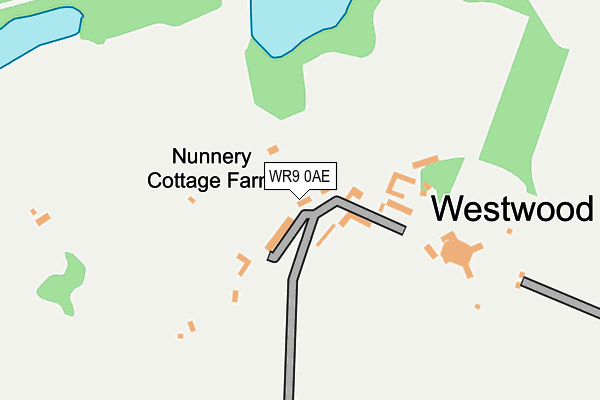 WR9 0AE map - OS OpenMap – Local (Ordnance Survey)