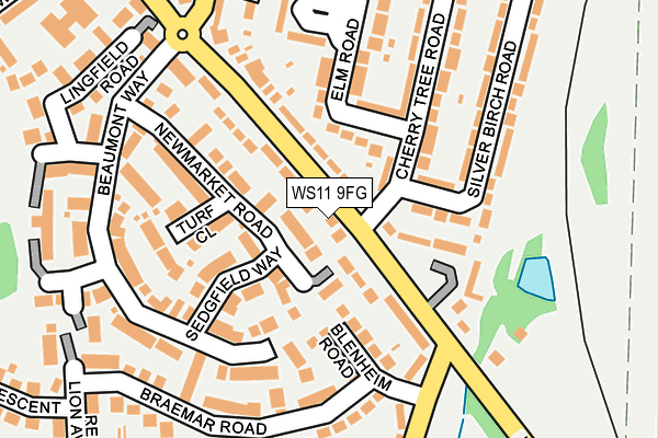 WS11 9FG map - OS OpenMap – Local (Ordnance Survey)