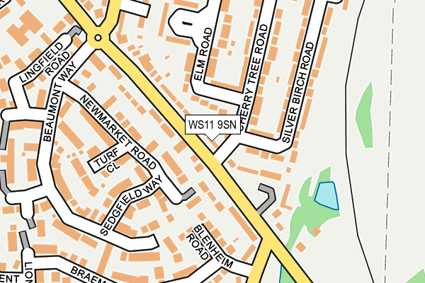 WS11 9SN map - OS OpenMap – Local (Ordnance Survey)
