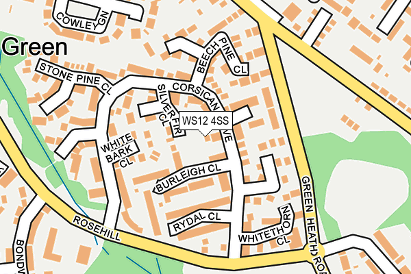 WS12 4SS map - OS OpenMap – Local (Ordnance Survey)