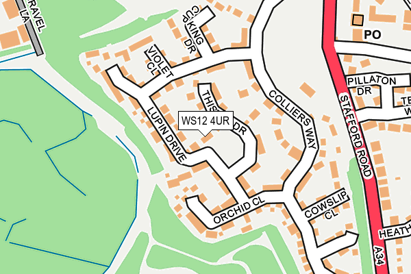 WS12 4UR map - OS OpenMap – Local (Ordnance Survey)