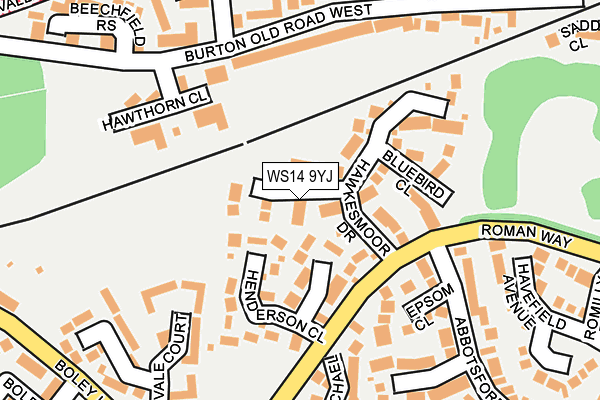 WS14 9YJ map - OS OpenMap – Local (Ordnance Survey)