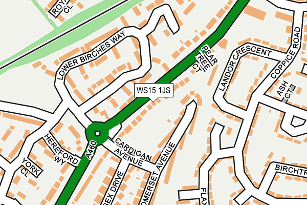 WS15 1JS map - OS OpenMap – Local (Ordnance Survey)