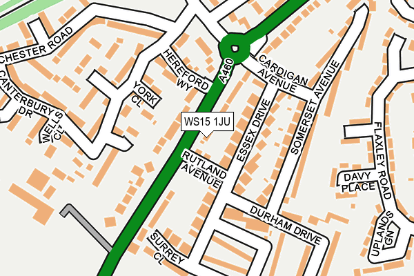 WS15 1JU map - OS OpenMap – Local (Ordnance Survey)