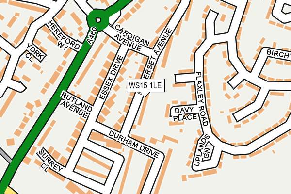 WS15 1LE map - OS OpenMap – Local (Ordnance Survey)