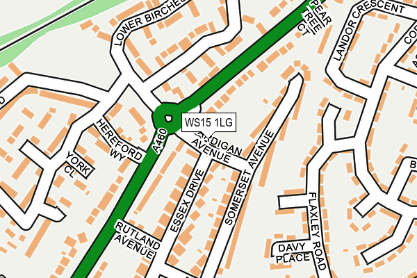 WS15 1LG map - OS OpenMap – Local (Ordnance Survey)