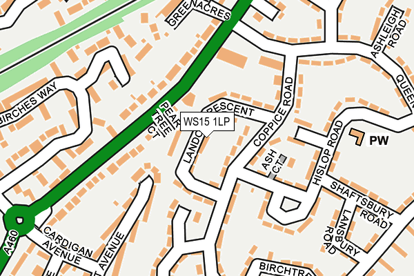 WS15 1LP map - OS OpenMap – Local (Ordnance Survey)