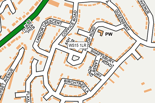 WS15 1LR map - OS OpenMap – Local (Ordnance Survey)