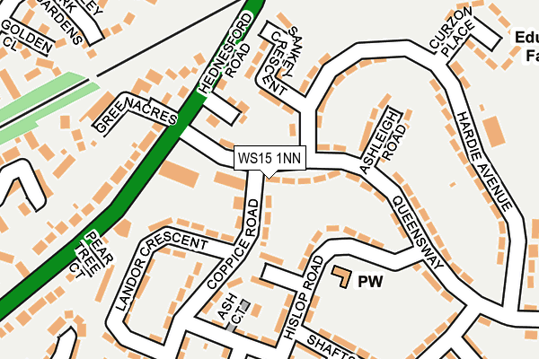 WS15 1NN map - OS OpenMap – Local (Ordnance Survey)