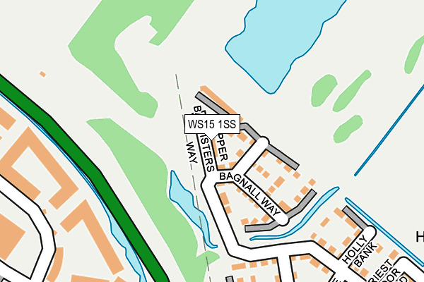 WS15 1SS map - OS OpenMap – Local (Ordnance Survey)