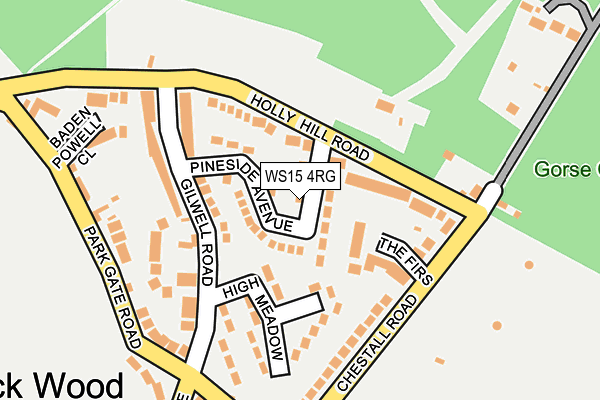 WS15 4RG map - OS OpenMap – Local (Ordnance Survey)
