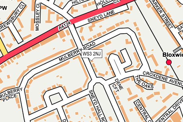 WS3 2NJ map - OS OpenMap – Local (Ordnance Survey)