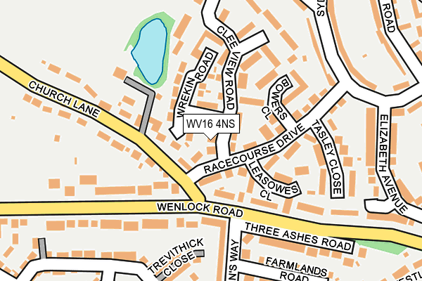 WV16 4NS map - OS OpenMap – Local (Ordnance Survey)