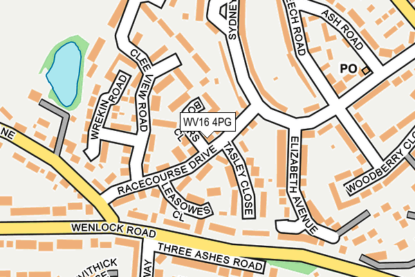 WV16 4PG map - OS OpenMap – Local (Ordnance Survey)