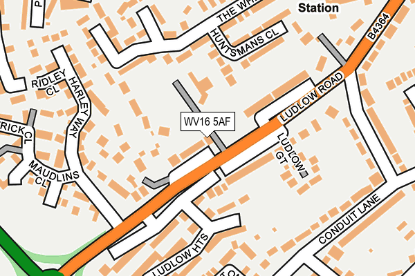 WV16 5AF map - OS OpenMap – Local (Ordnance Survey)