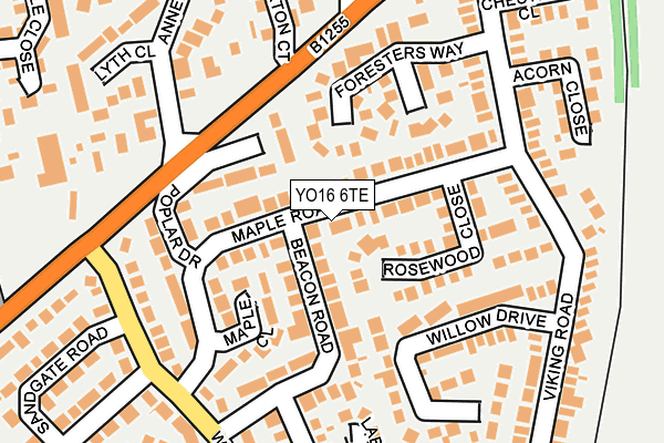 YO16 6TE map - OS OpenMap – Local (Ordnance Survey)