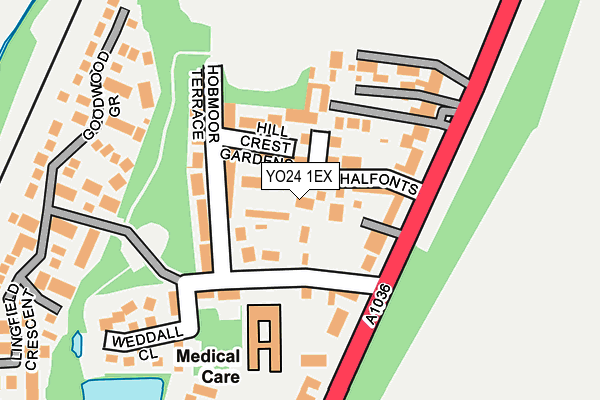 YO24 1EX map - OS OpenMap – Local (Ordnance Survey)