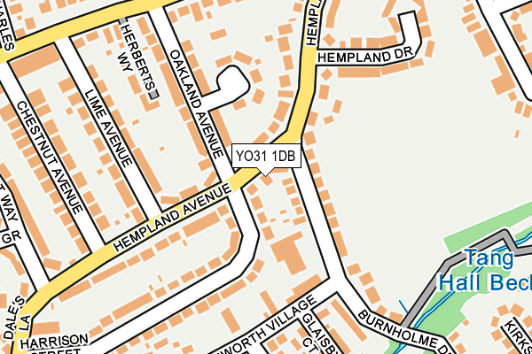YO31 1DB map - OS OpenMap – Local (Ordnance Survey)
