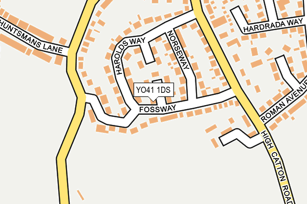 YO41 1DS map - OS OpenMap – Local (Ordnance Survey)