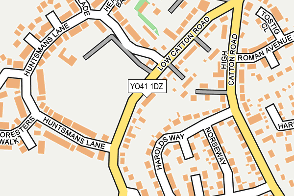 YO41 1DZ map - OS OpenMap – Local (Ordnance Survey)