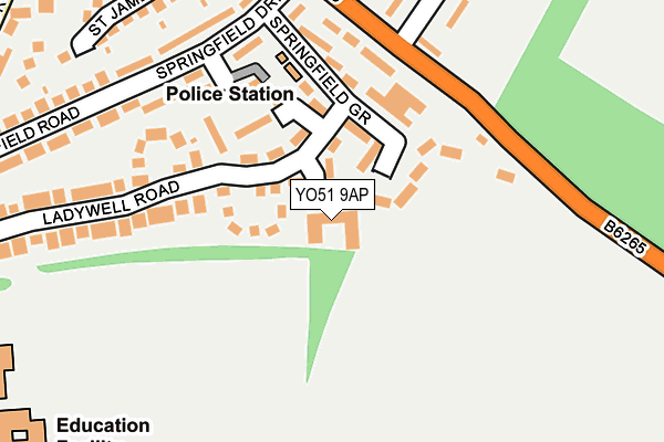 YO51 9AP map - OS OpenMap – Local (Ordnance Survey)